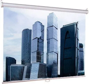Проекционный экран Lumien LEP-100115 131 дюйм настенно-потолочный рулонный