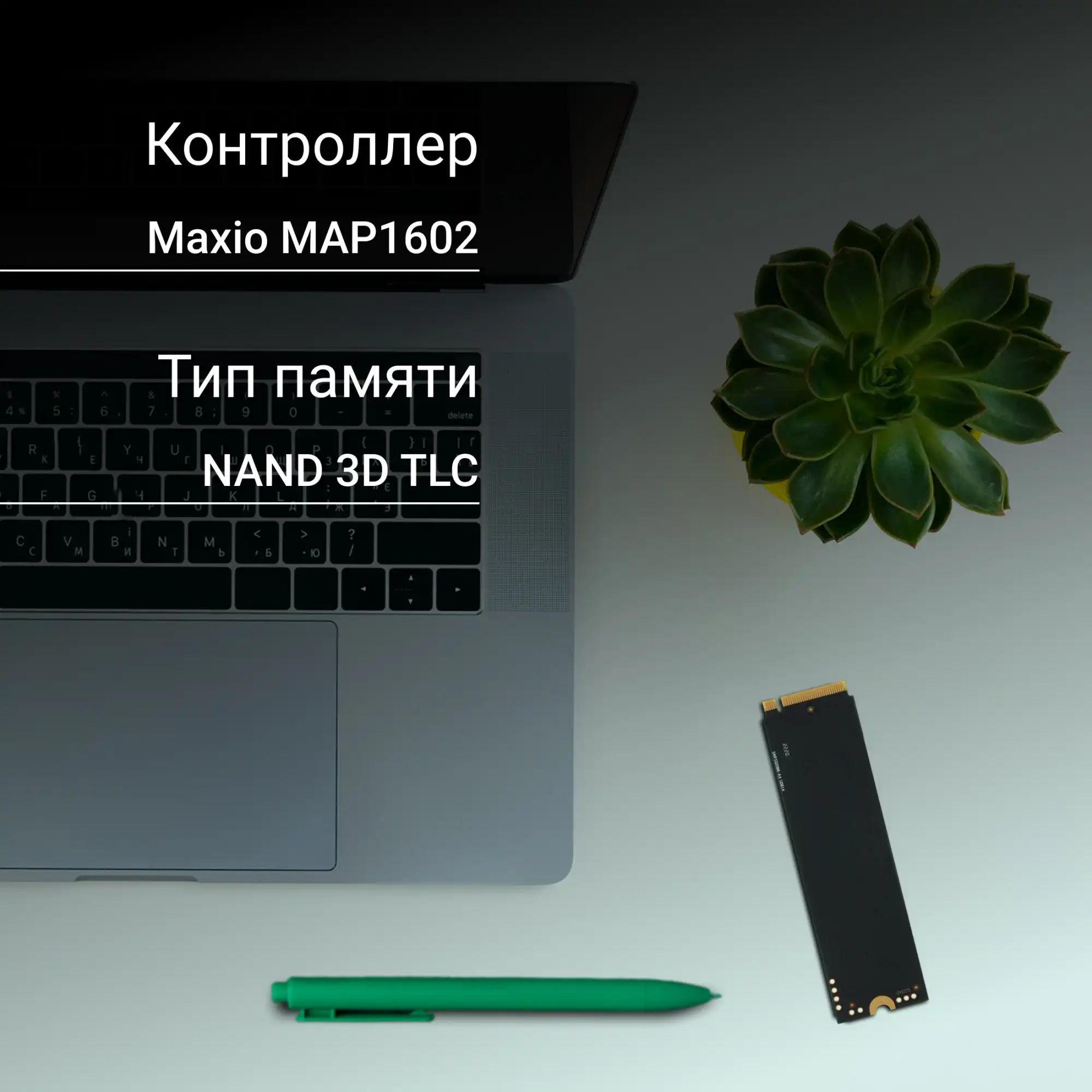 SSD-накопитель Digma Meta M6 1TB PCIe 4.0 x4 M.2 2280 фото 3