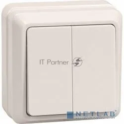 Двухклавишный выключатель IEK EVO20-K33-10-DC для открытой установки