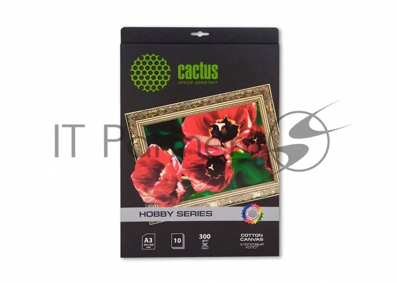 Холст для струйной печати Cactus CS-CA326010 формата A3, 10 листов